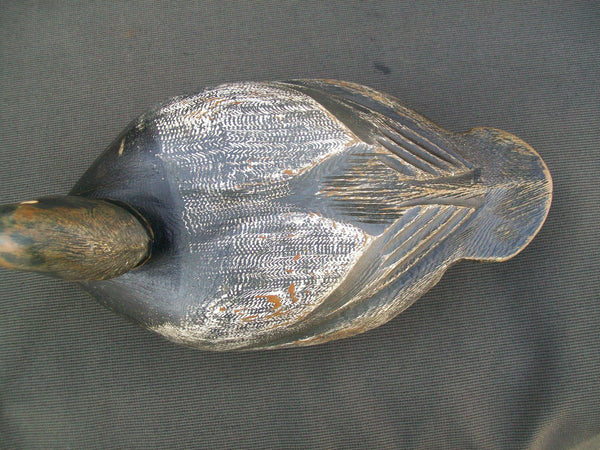 Canada Blue Bill, Original Paint  (#2236)