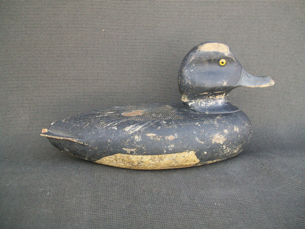 Herb Clarine Blue Bill O. P.  Circa 1930's