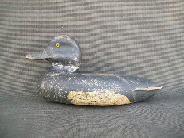 Herb Clarine Blue Bill O. P.  Circa 1930's