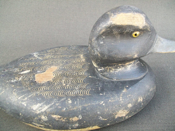 Herb Clarine Blue Bill O. P.  Circa 1930's