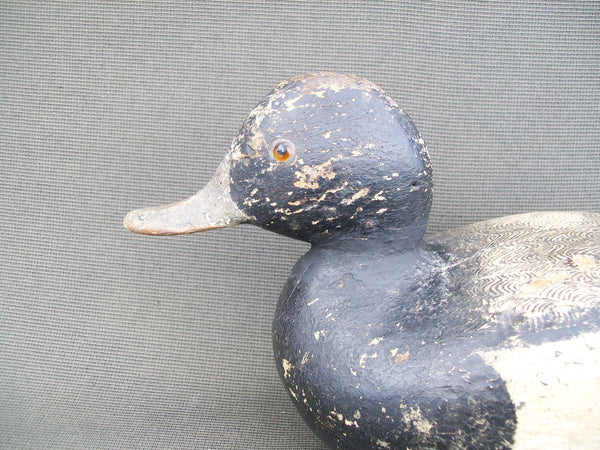 Lyn Lastworks Bluebill, Ontario (#2310)