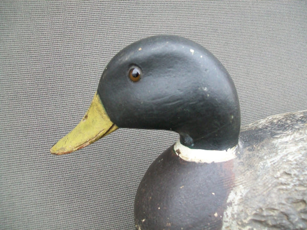 Ed Keller Mallard with Animal Trap Body 1 of 24 made  (#2340)