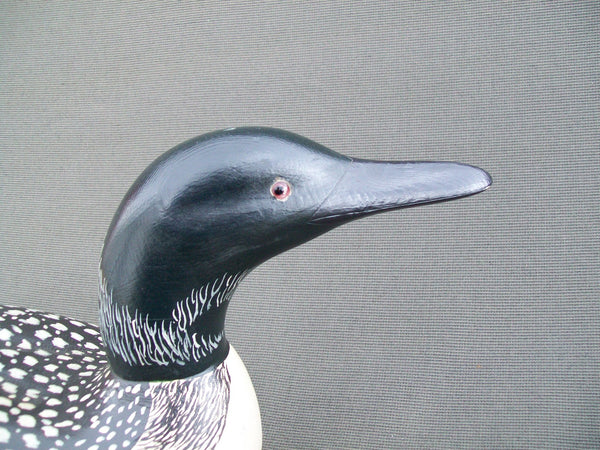 Charlie Moore Loon