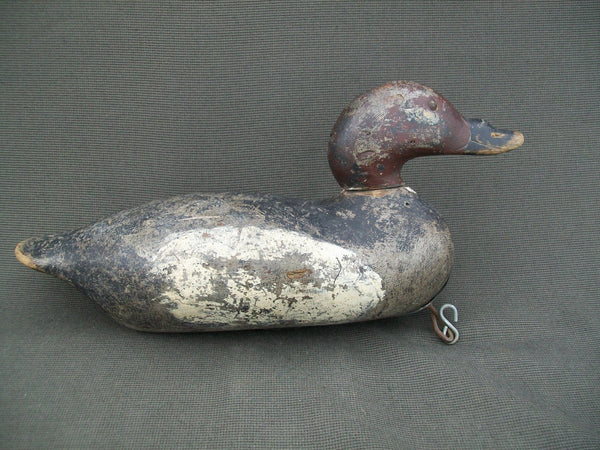 Mason White Winged Scoter, Challenge Grade