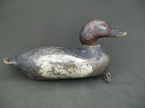 Mason White Winged Scoter, Challenge Grade