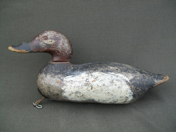 Mason White Winged Scoter, Challenge Grade