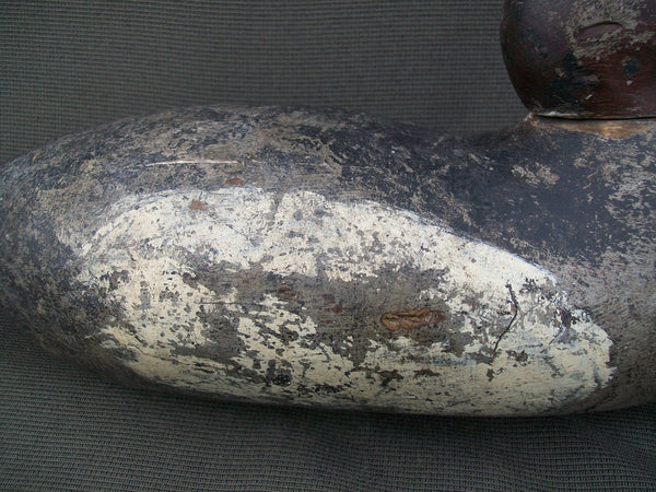 Mason White Winged Scoter, Challenge Grade