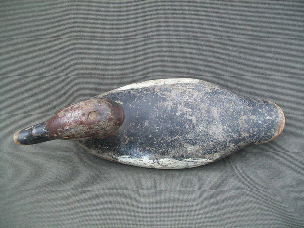 Mason White Winged Scoter, Challenge Grade