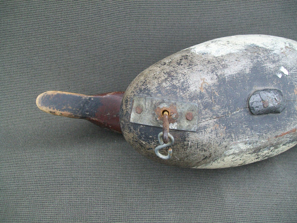 Mason White Winged Scoter, Challenge Grade