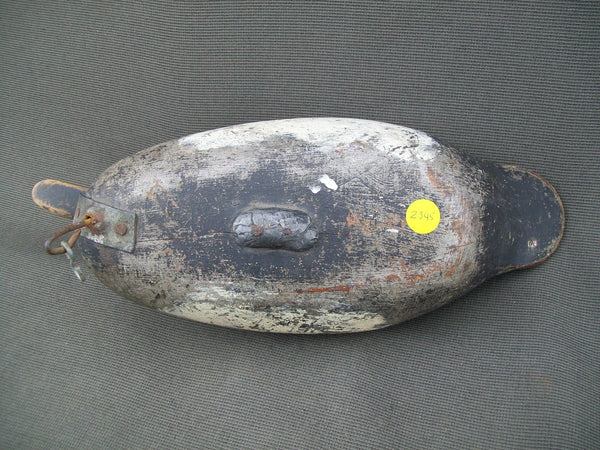 Mason White Winged Scoter, Challenge Grade