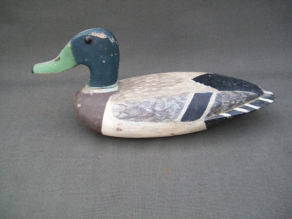 Henry Walker Mallard Drake- Lacon, Illinois  Circa 1940's