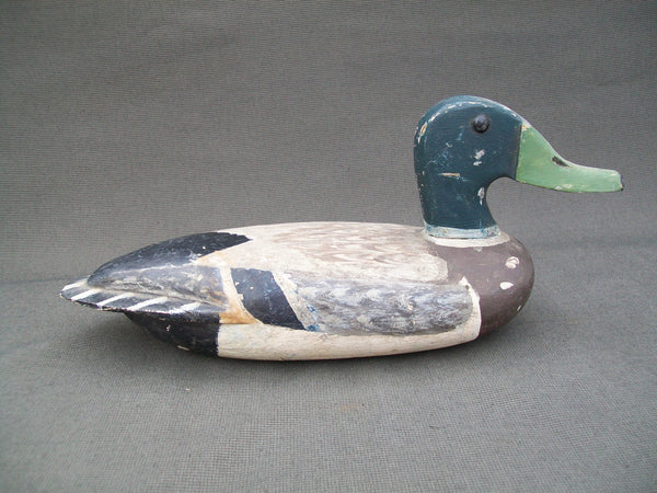 Henry Walker Mallard Drake- Lacon, Illinois  Circa 1940's