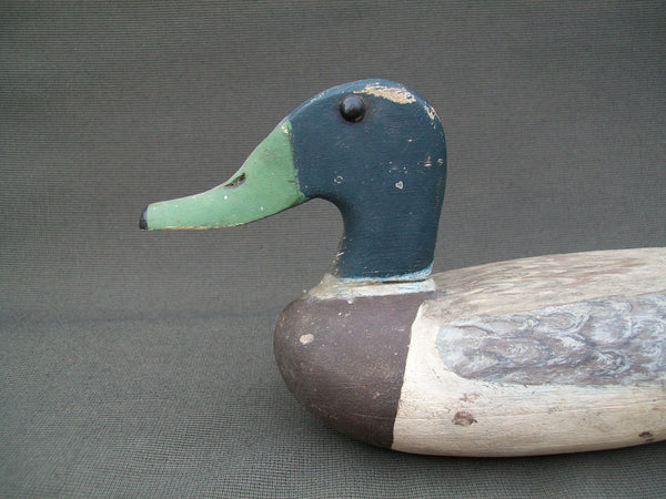 Henry Walker Mallard Drake- Lacon, Illinois  Circa 1940's