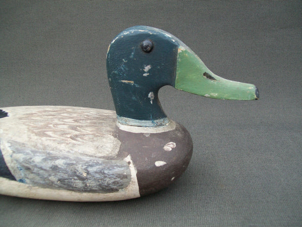 Henry Walker Mallard Drake- Lacon, Illinois  Circa 1940's