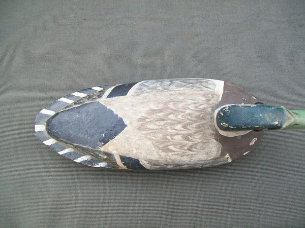 Henry Walker Mallard Drake- Lacon, Illinois  Circa 1940's