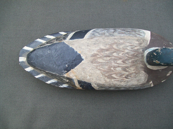 Henry Walker Mallard Drake- Lacon, Illinois  Circa 1940's