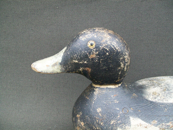 Mason Blue Bill Drake, Original Paint  (#2397)