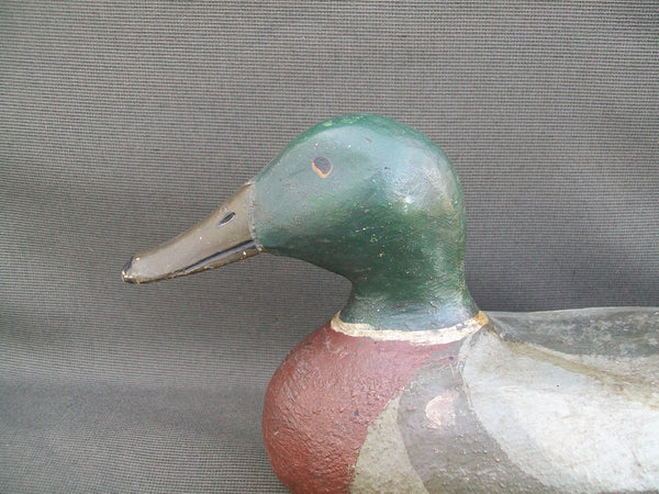 Emil Stegmaier Mallard Drake, Circa 1920's, Original  (#2440)
