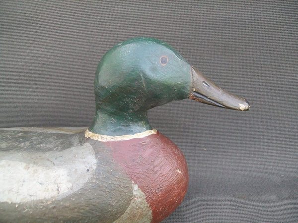 Emil Stegmaier Mallard Drake, Circa 1920's, Original  (#2440)