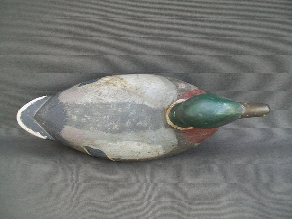 Emil Stegmaier Mallard Drake, Circa 1920's, Original  (#2440)