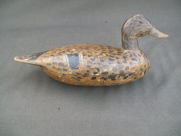 Illinois River Tack-eye Mallard Hen, Circa 1900's.  (#2455)