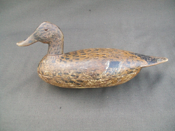 Illinois River Tack-eye Mallard Hen, Circa 1900's.  (#2455)