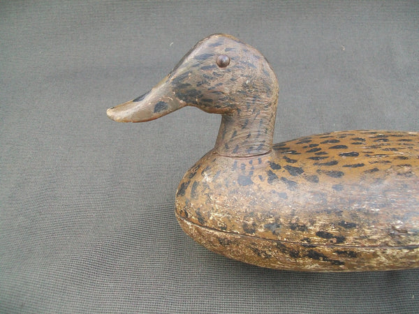 Illinois River Tack-eye Mallard Hen, Circa 1900's.  (#2455)