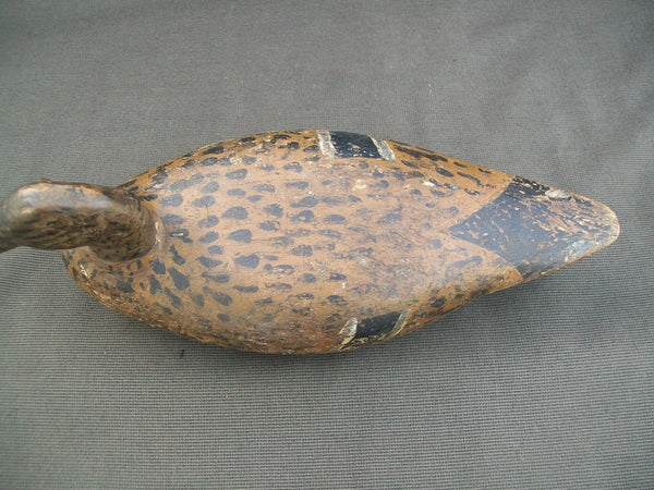 Illinois River Tack-eye Mallard Hen, Circa 1900's.  (#2455)