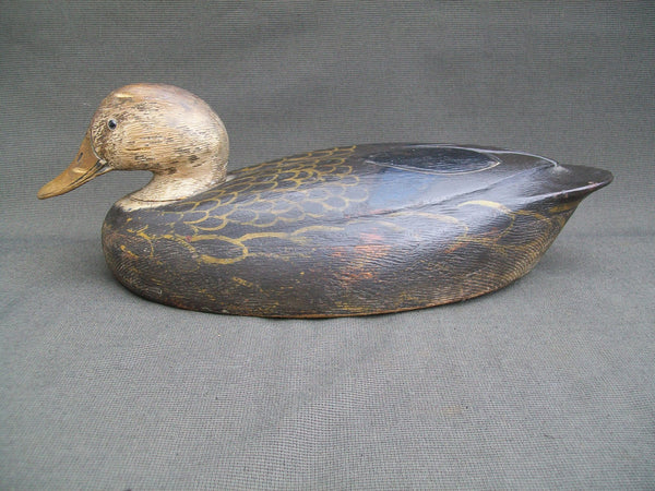 Ken Anger Black Duck- Original Paint - Ontario, Canada