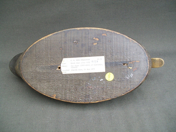 Ken Anger Black Duck- Original Paint - Ontario, Canada