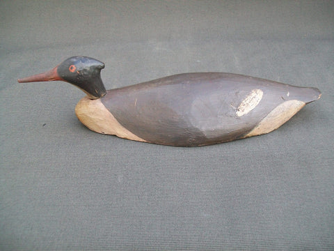 Root Head Long Island Hen Merganser- Original Paint, Circa 1890  (#2511)