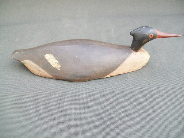 Root Head Long Island Hen Merganser- Original Paint, Circa 1890  (#2511)