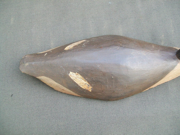 Root Head Long Island Hen Merganser- Original Paint, Circa 1890  (#2511)