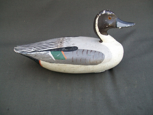 Otto Garren Pintail Drake with Weight  (#2531)