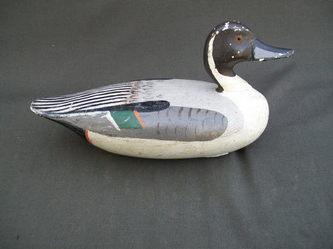 Otto Garren Pintail Drake with Weight  (#2531)