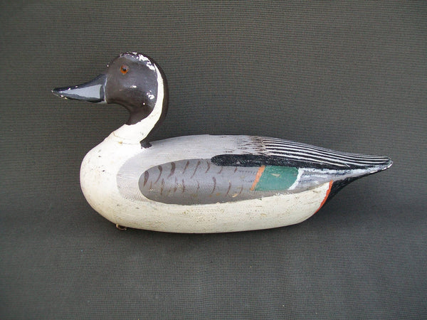 Otto Garren Pintail Drake with Weight  (#2531)