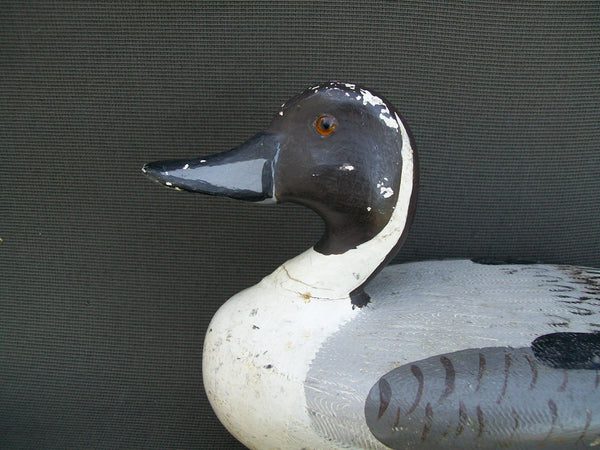 Otto Garren Pintail Drake with Weight  (#2531)