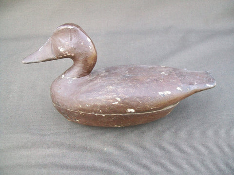 Perry Wilcoxen Canvasback  (#2563)