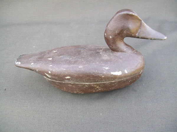 Perry Wilcoxen Canvasback  (#2563)