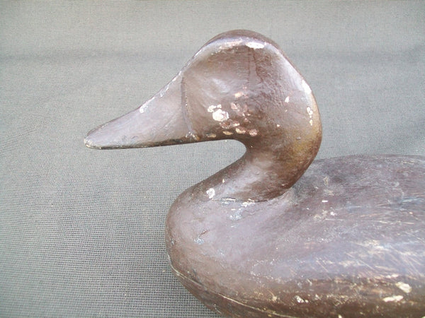 Perry Wilcoxen Canvasback  (#2563)