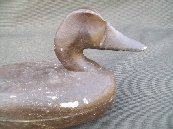 Perry Wilcoxen Canvasback  (#2563)