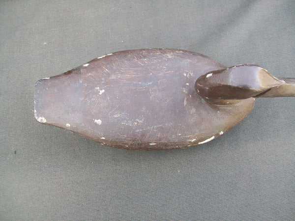 Perry Wilcoxen Canvasback  (#2563)