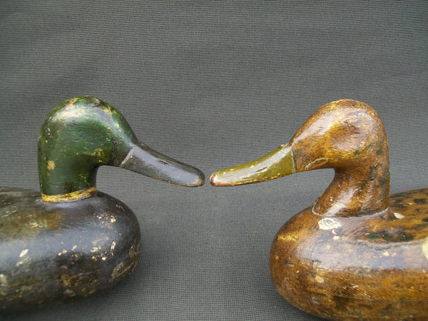 Charles Smith Mallards, Pair, Circa 1920's (#2566)