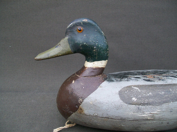 Otto Garren Mallard Drake with Lead weight on bottom