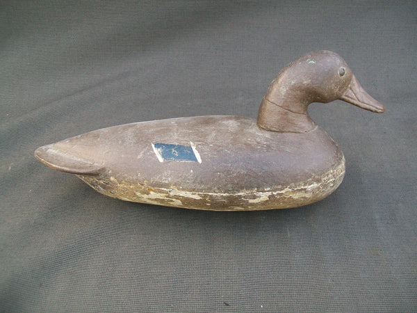 Illinois River Mallard Hen - Tack eyes