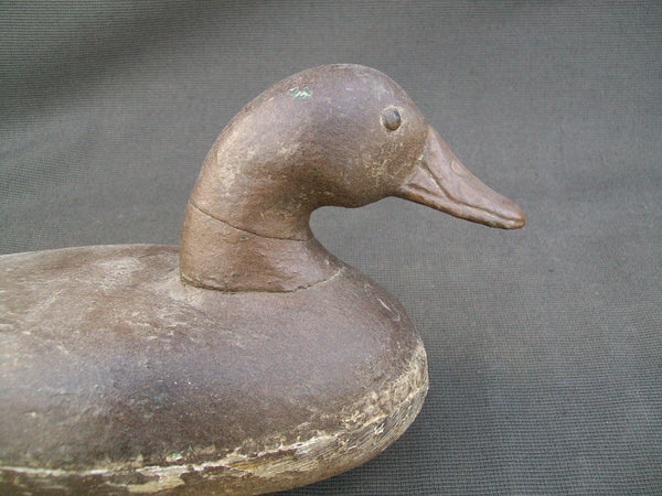Illinois River Mallard Hen - Tack eyes