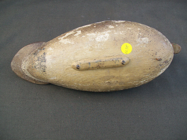 Illinois River Mallard Hen - Tack eyes