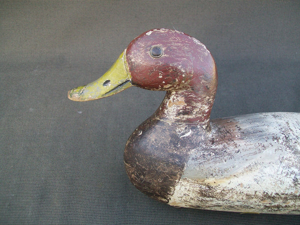 Kessler Mallard with repainted head  (#2583)