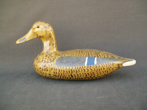 James Pollitt Mallard Hen - Illinois River