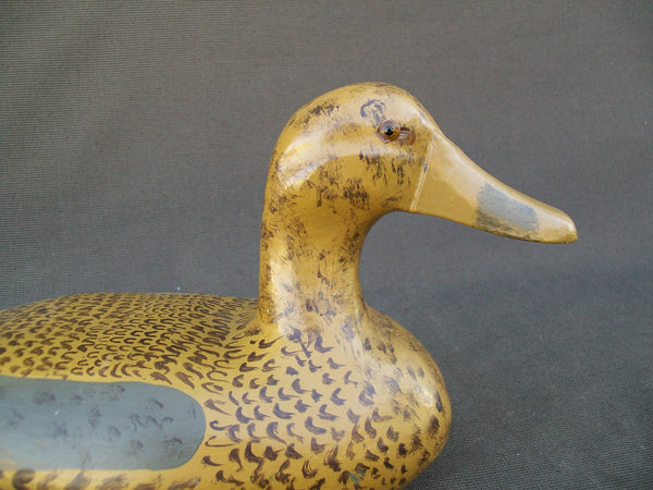 James Pollitt Mallard Hen - Illinois River